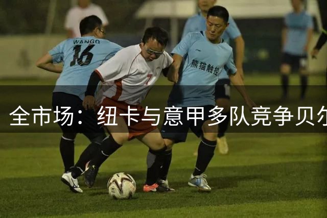全市场：纽卡与意甲多队竞争贝尔加利，转会费可能涨到1500万欧